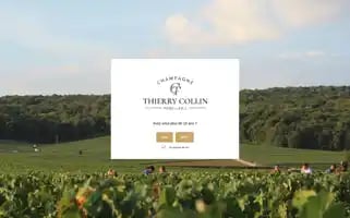 Champagne-collin.fr Screenshot 2024-05-27 21:18:37