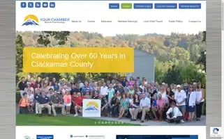 Yourchamber.com Screenshot 2024-07-05 17:24:36