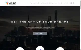 Vicinosoftware.com Screenshot 2024-06-15 08:33:09