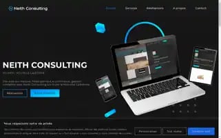Neith-consulting.com Screenshot 2024-06-16 14:25:11