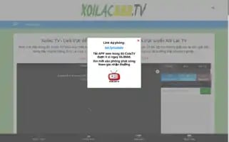 Vinacado.com Screenshot 2024-05-26 17:10:52