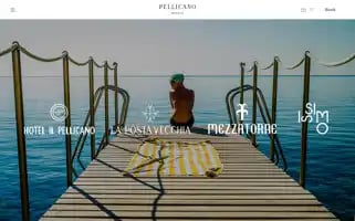 Pellicanohotels.com Screenshot 2024-04-24 04:00:11