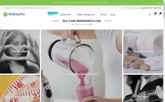 Wellnesspronutrition.com Screenshot 2024-06-28 23:17:03