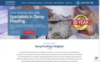 Sussexdampexperts.com Screenshot 2024-06-30 10:16:42