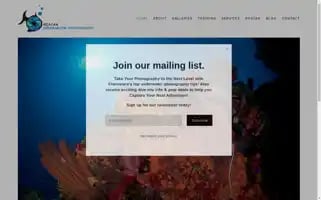 Roatanunderwaterphotography.com Screenshot 2024-07-09 02:26:11