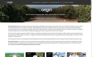 Corigin.co Screenshot 2024-07-05 18:40:03