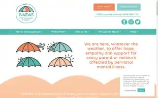 Pandasfoundation.org.uk Screenshot 2024-06-29 14:38:48