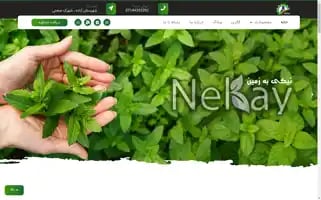Nekay-parseh.com Screenshot 2024-05-19 05:46:57