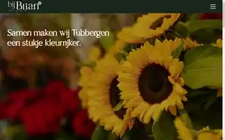 Bijbrian.nl Screenshot 2024-05-21 09:18:44