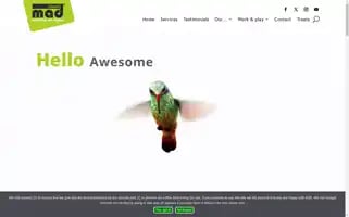 Madideas.com Screenshot 2024-07-01 02:11:36