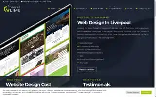 Thecheerfullime.com Screenshot 2024-07-03 15:35:13