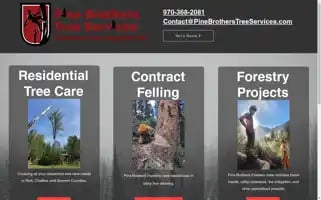 Pinebrotherstreeservices.com Screenshot 2024-06-14 16:34:12
