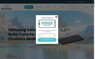 Recy-cell.ca Screenshot 2024-05-13 15:51:55