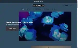 Soarium.com Screenshot 2024-05-03 17:22:24