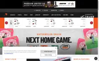 Bclions.com Screenshot 2024-07-04 09:37:33