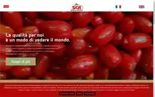 Sicaconserve.it Screenshot 2024-07-04 09:32:37