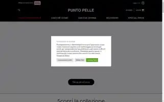 Puntopelleonline.it Screenshot 2024-07-08 20:18:47