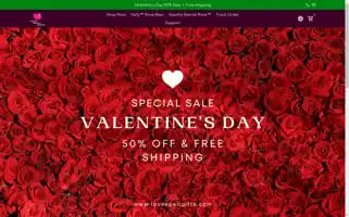 Lovespellgifts.com Screenshot 2024-05-03 20:29:32