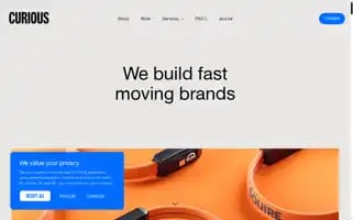 Thecurious.agency Screenshot 2024-06-29 17:56:47