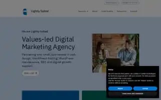 Lightlysalted.agency Screenshot 2024-07-04 00:11:05