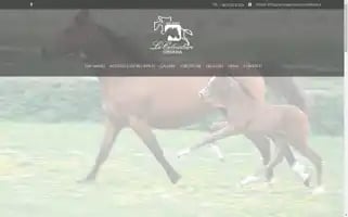 Centroippicolecolombare.it Screenshot 2024-05-28 00:02:17