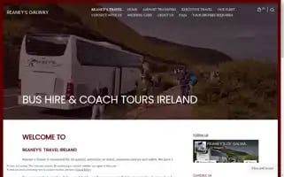 Reaneysofgalway.com Screenshot 2024-06-29 15:28:09