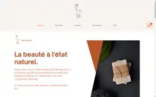 Slay-institut.com Screenshot 2024-05-20 09:50:59