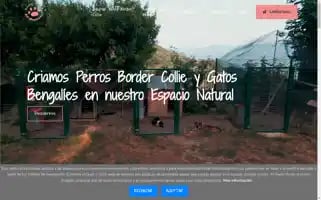 Perrosbordercollies.com Screenshot 2024-06-16 06:29:41