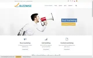 Buzzwise.pl Screenshot 2024-06-28 22:56:53
