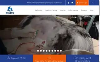 Acvecc.org Screenshot 2024-07-02 08:45:18