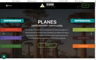 Ticomanager.com Screenshot 2024-06-17 14:29:14