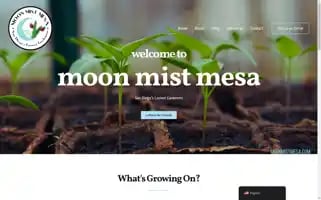 Moonmistmesa.com Screenshot 2024-05-19 10:34:00