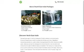 Nezotours.com Screenshot 2024-04-24 05:57:39
