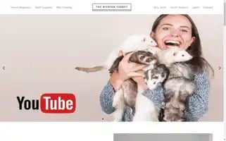Themodernferret.com Screenshot 2024-07-07 17:15:08