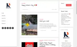 Reeflip.com Screenshot 2024-05-22 14:33:20