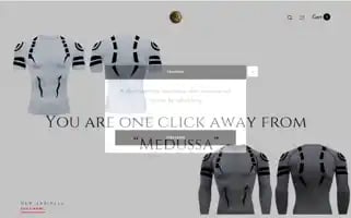 Themedussa.store Screenshot 2024-05-03 23:32:44