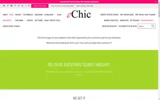 Echic.com.au Screenshot 2024-05-04 23:24:27