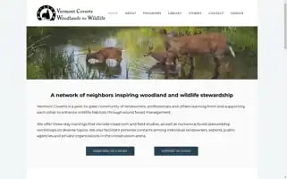 Vtcoverts.org Screenshot 2024-07-02 00:08:14