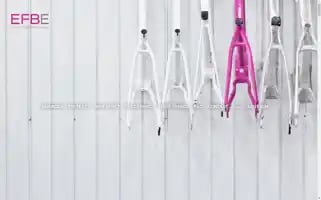 Efbe.de Screenshot 2024-06-29 18:16:44