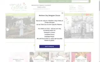 Tilliesflowers.com Screenshot 2024-05-14 12:36:50