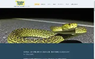 Snakeeyes-tour.com Screenshot 2024-04-25 16:54:15