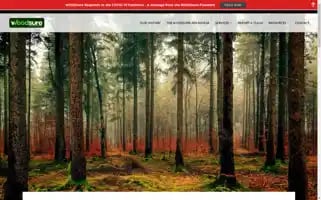 Woodsure.ca Screenshot 2024-06-29 14:53:01