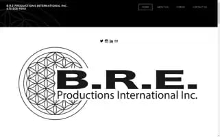 Breproductionsinternational.com Screenshot 2024-06-14 00:12:19