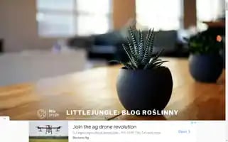 Littlejungle.pl Screenshot 2024-07-08 20:59:53