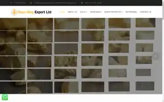 Ocenkingexportltd.com Screenshot 2024-05-17 06:58:14