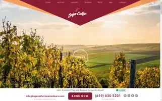 Bajacaliforniawinetours.com Screenshot 2024-04-17 12:41:42