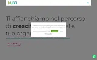 Nuxi.io Screenshot 2024-06-30 21:51:35