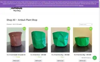 Ambuliplantshop.com Screenshot 2024-05-24 17:29:50