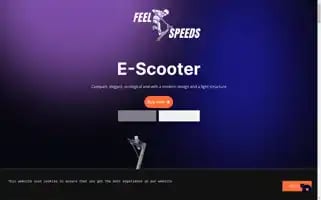 Feelspeeds.com Screenshot 2024-05-24 01:31:55