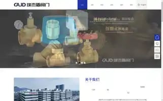 Aijiedun.com Screenshot 2024-06-15 16:07:12